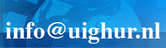 info@uyghur