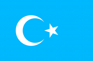 Flag Uyghur uygur bayragi