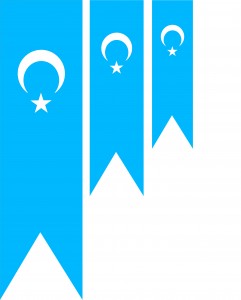 Uyghur-Flags