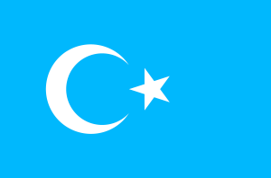 Официальный флаг уйгуров