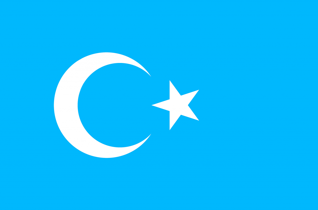 The official flag of the Uighurs