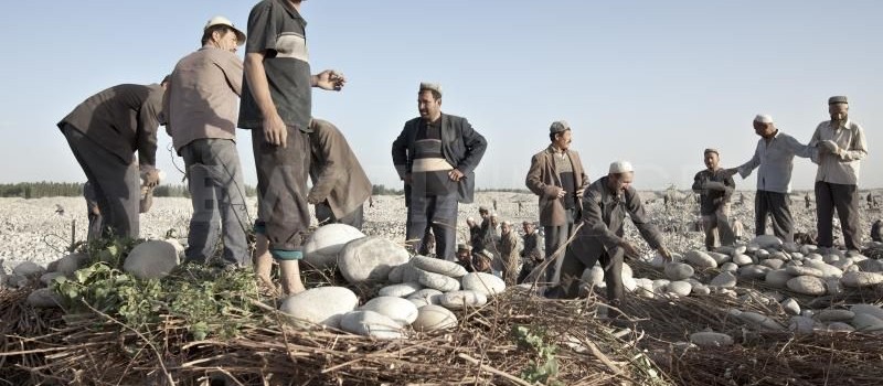 Authorities ‘Ensure Stability’ Through Forced Labor For Uyghurs in Xinjiang Township