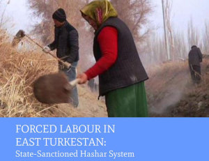 the-hashar-continues-in-chinas-xinjiang-east-turkistan