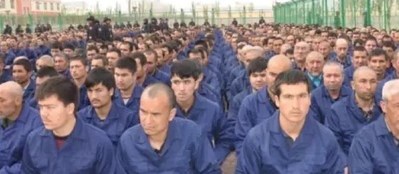 Escape from Xinjiang Muslim Uighurs speak of China persecution