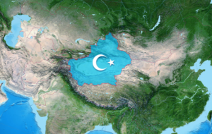 China Een miljoen Oeigoeren zijn door China opgesloten in geheime kampen. Dat moet stoppen, schrijft Eric C. Hendriks Maak herrie voor de Oeigoeren