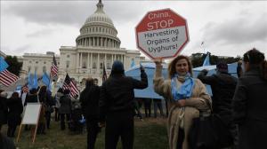 US Hundreds march in solidarity for Uyghurs