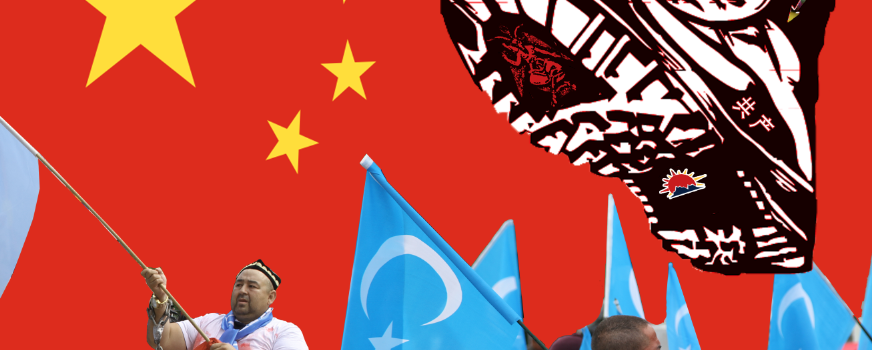 Senate approves Uyghur human rights bill